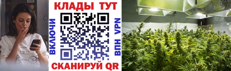 Гашиш Сенгилей