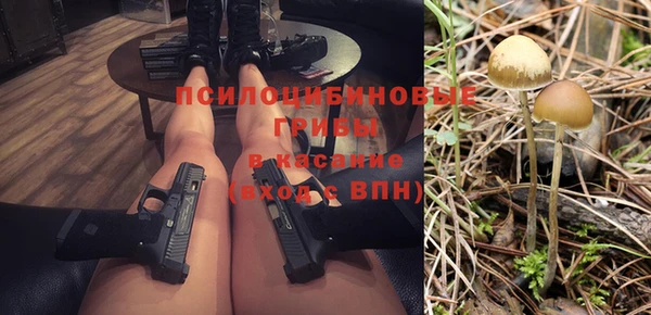 хмурый Армянск