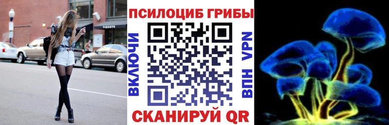 Псилоцибиновые грибы Psilocybine cubensis  Сенгилей 
